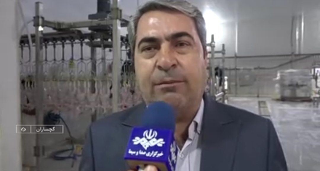آغاز خرید مرغ گوشتی از مرغداران کهگیلویه و بویراحمد